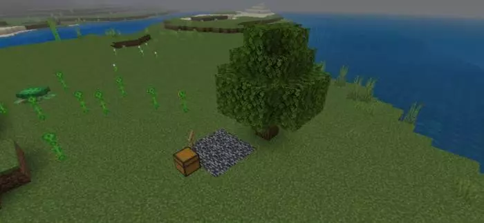 dont touch grass map screenshot