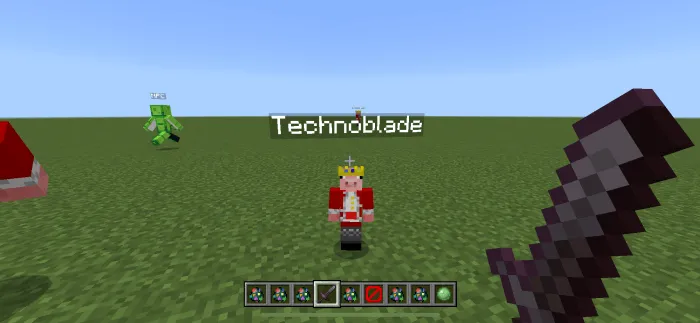 Walking Youtuber NPCS Addon screenshot 4