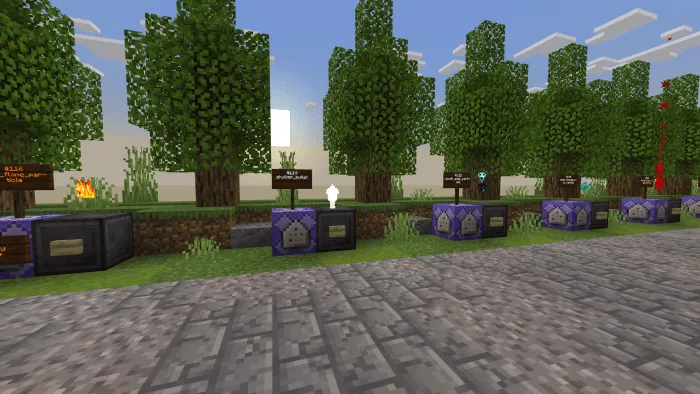 particles mcbe map screenshot