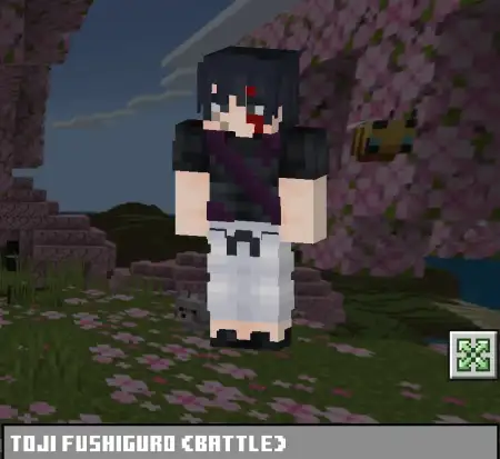 Toji Fushiguro Skin Pack pic 2