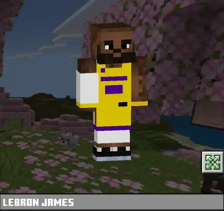 LeBron James Skin Pack pic 2