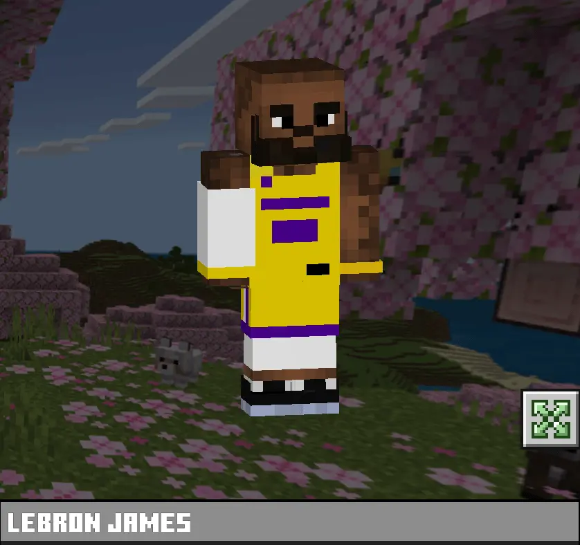LeBron James Skin Pack pic 4