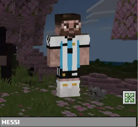 Messi Skin Pack pic 2