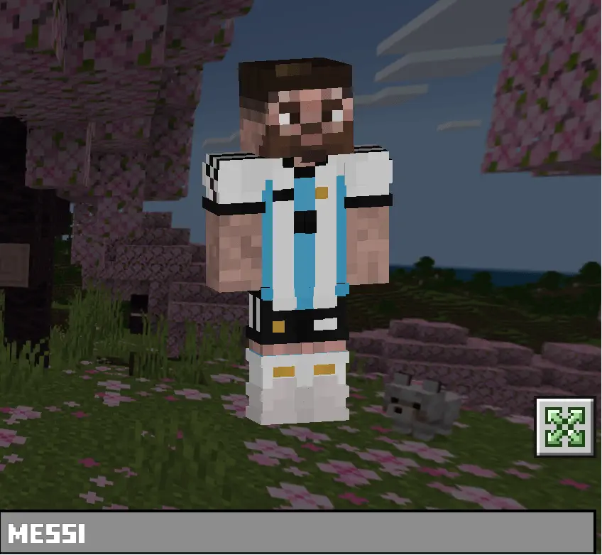 Messi Skin Pack pic 4