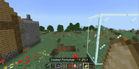 Food Stats | Hunger & Saturation Tooltips Addon pic 3