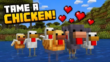Tame A Chicken! Addon thumbnail