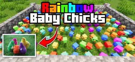 Rainbow Baby Chicks Addon thumbnail