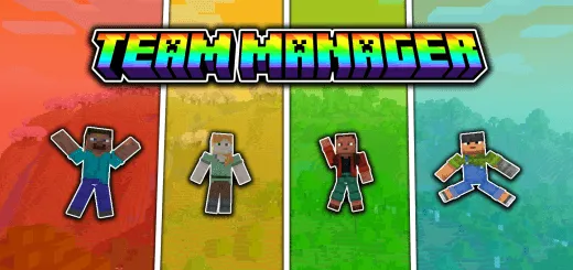 Team Manager Addon pic 2