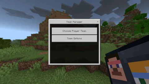 Team Manager Addon pic 3