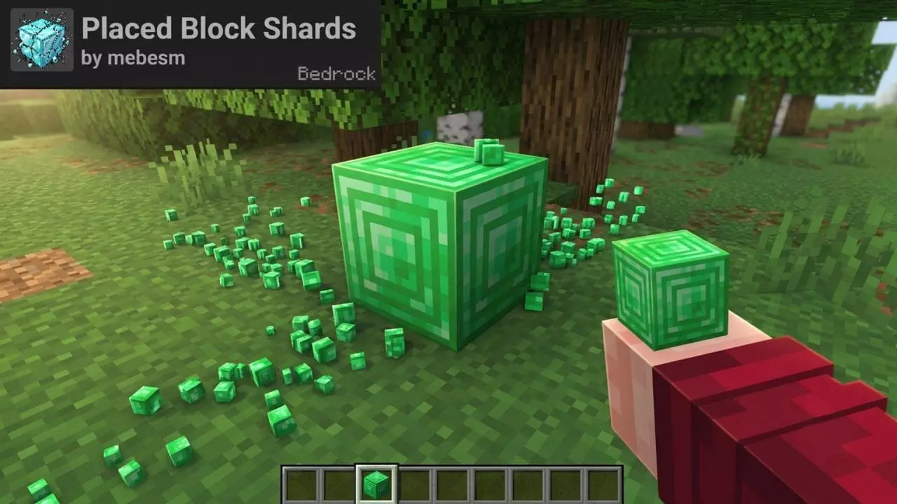Placed Block Shards Addon pic 4