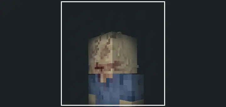 Cordyceps: Outbreak Mod / Addon screenshot 2