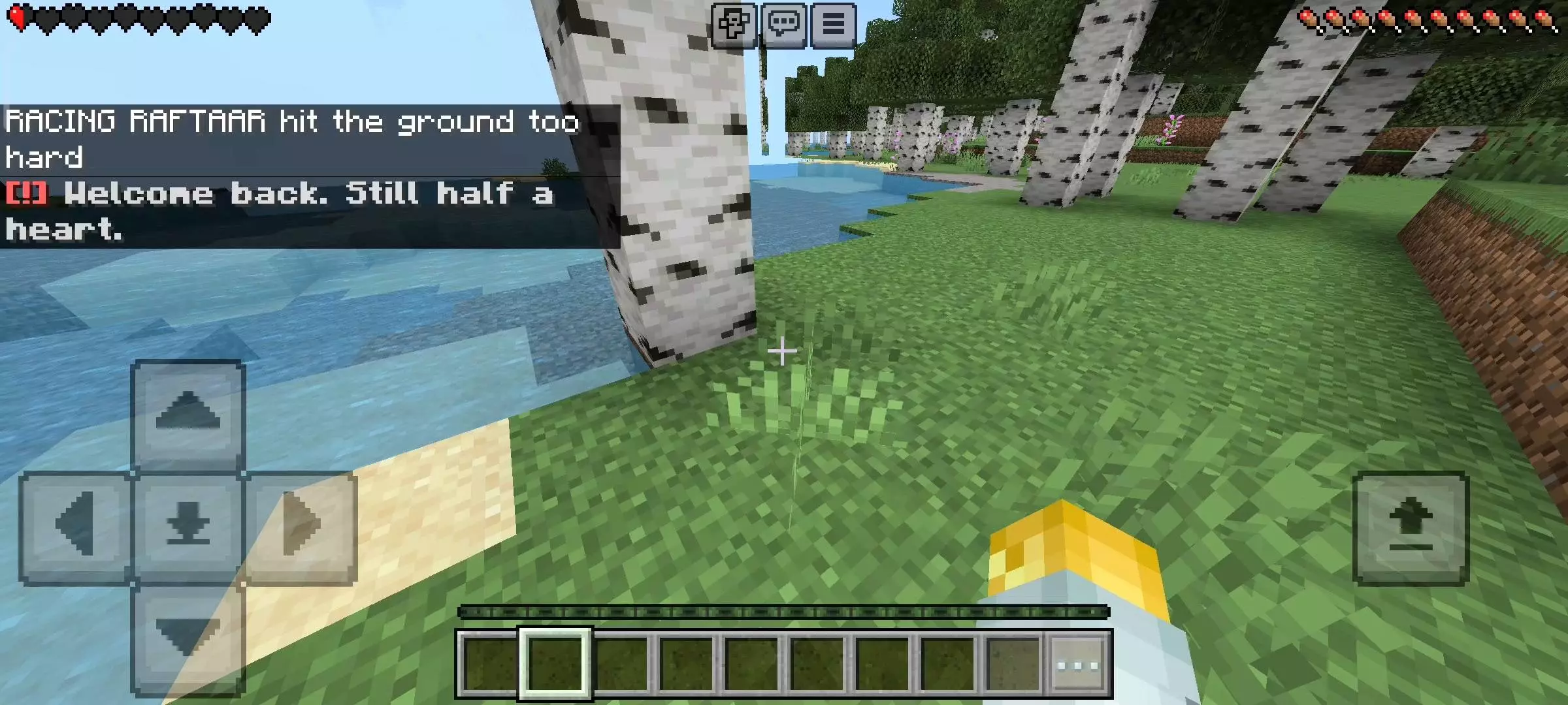 Half Heart - Hardcore Challenge Mod / Addon screenshot 2