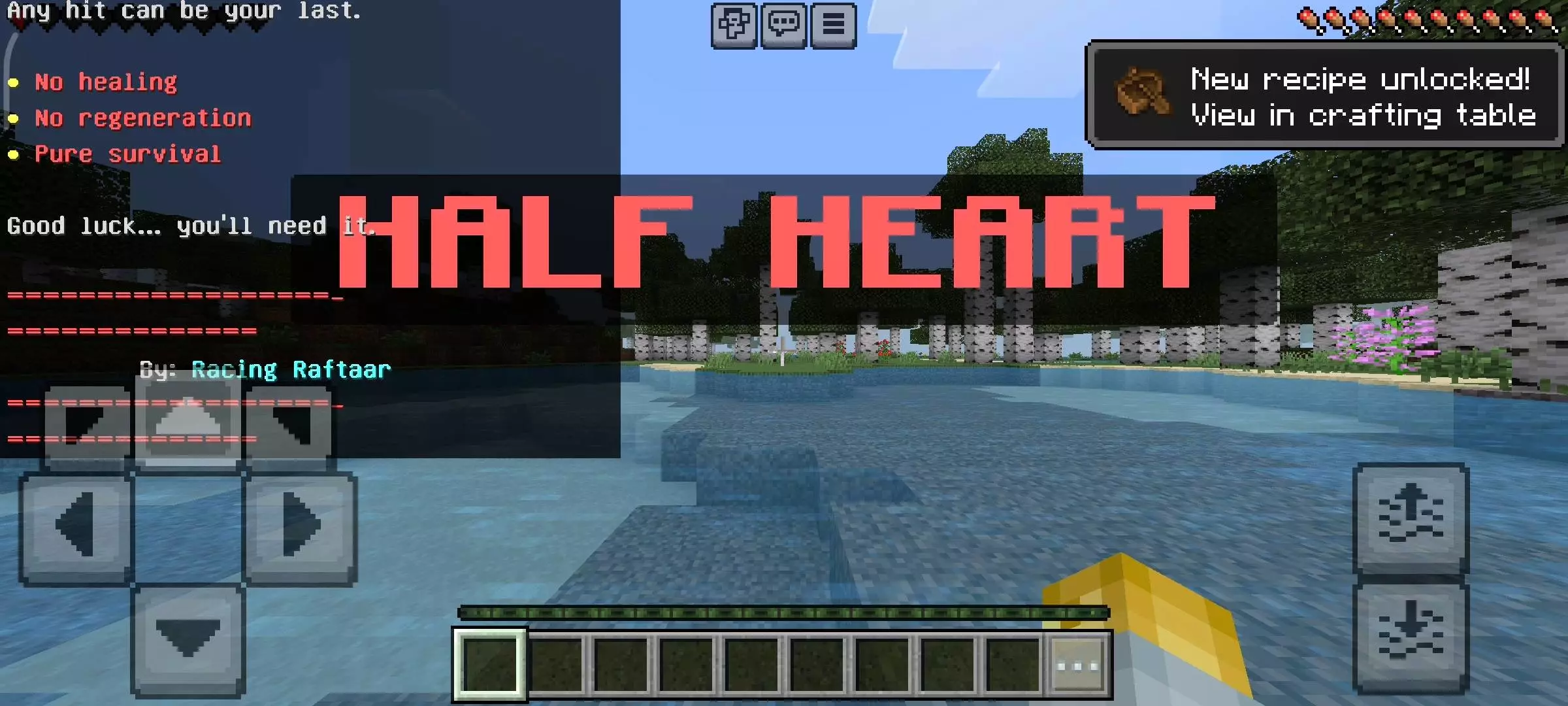 Half Heart - Hardcore Challenge Mod / Addon screenshot 3