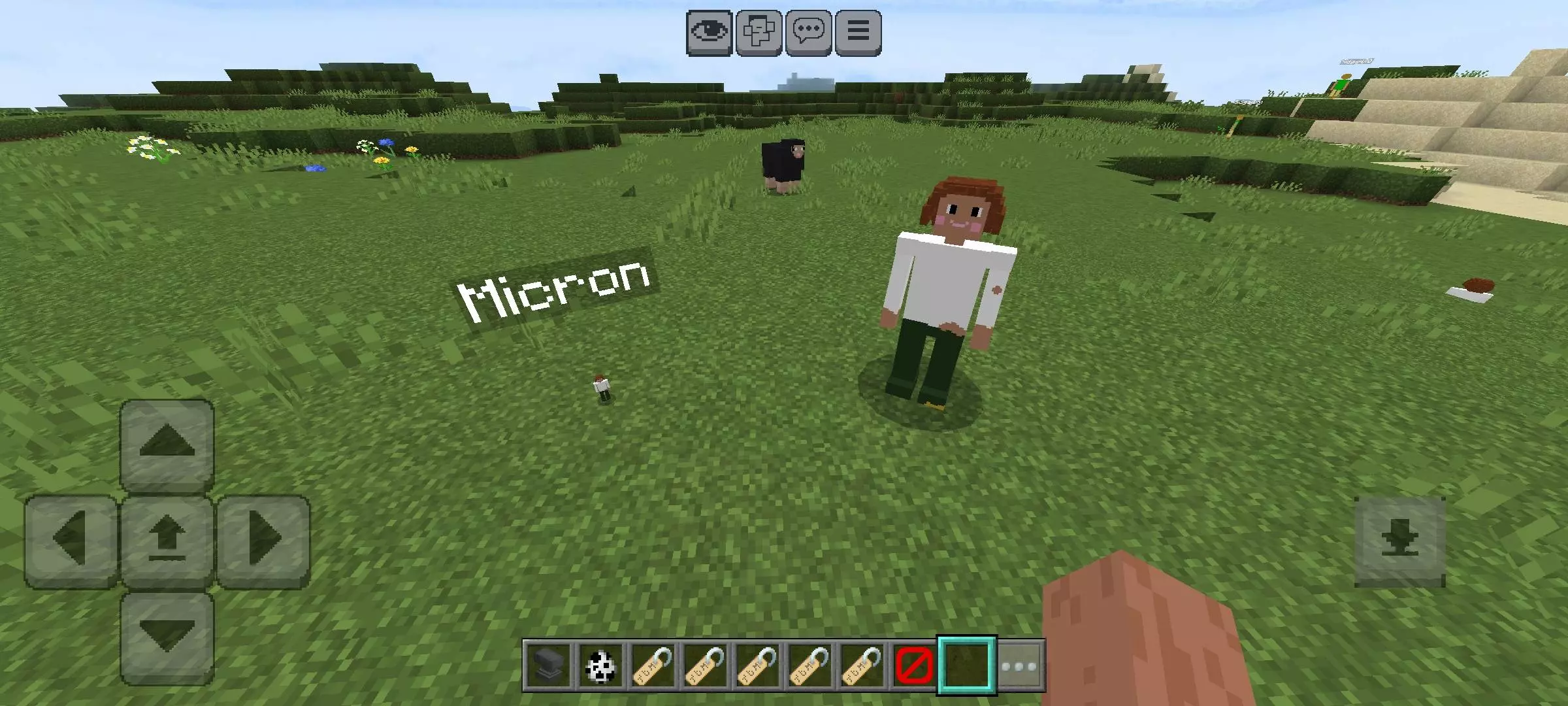 DMV - Brownies Pets (Smart Friendly Mobs) Mod / Addon screenshot 4