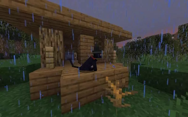 Black Cat With Witch Hat – Addon / Texture Pack screenshot 4