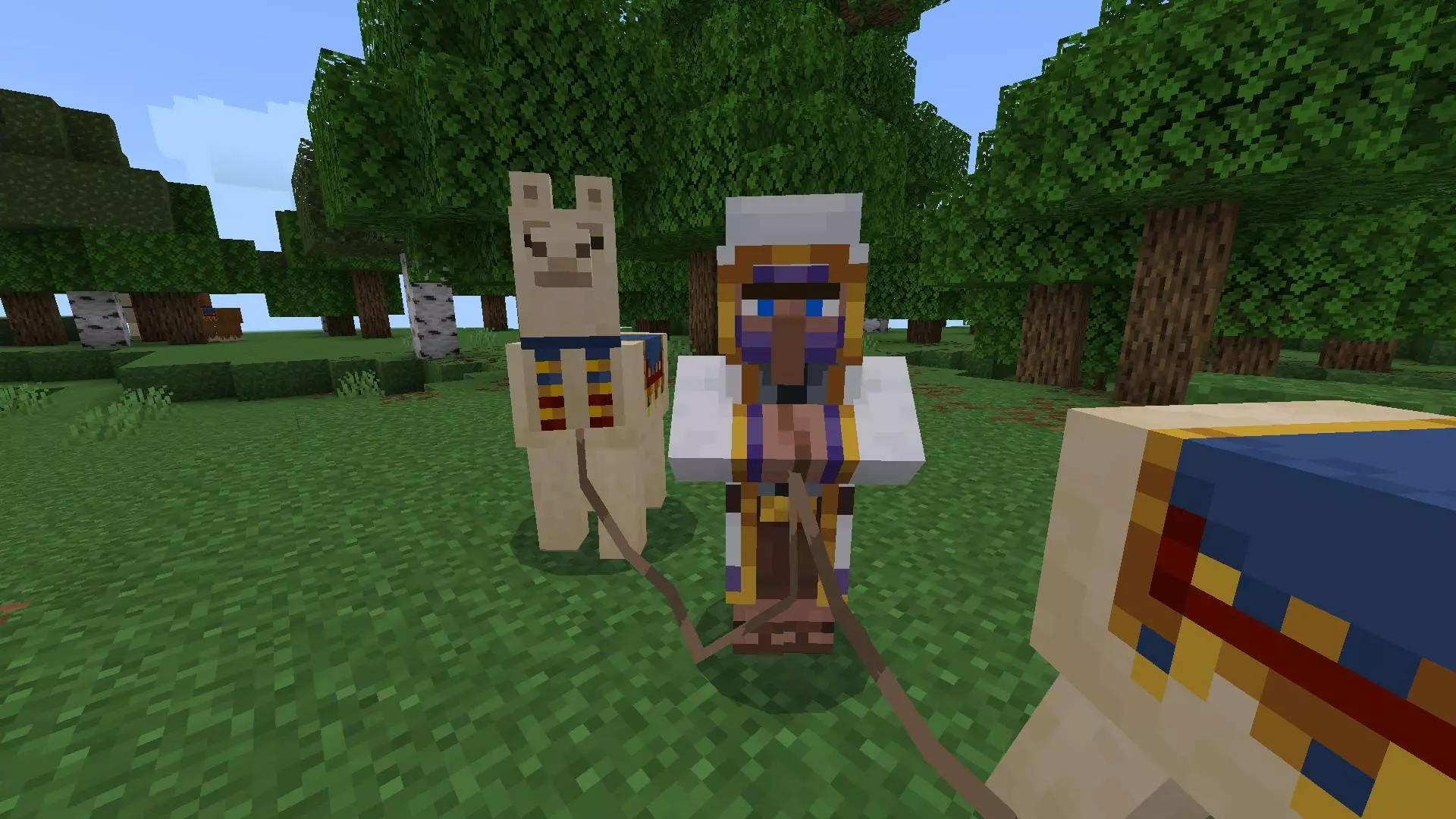Banker Addon pic 3