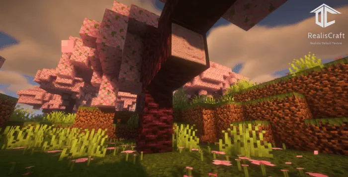 RealisCraft BE: Realistic Default Textures screenshot 5
