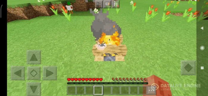 Duck Mod / Addon screenshot 2