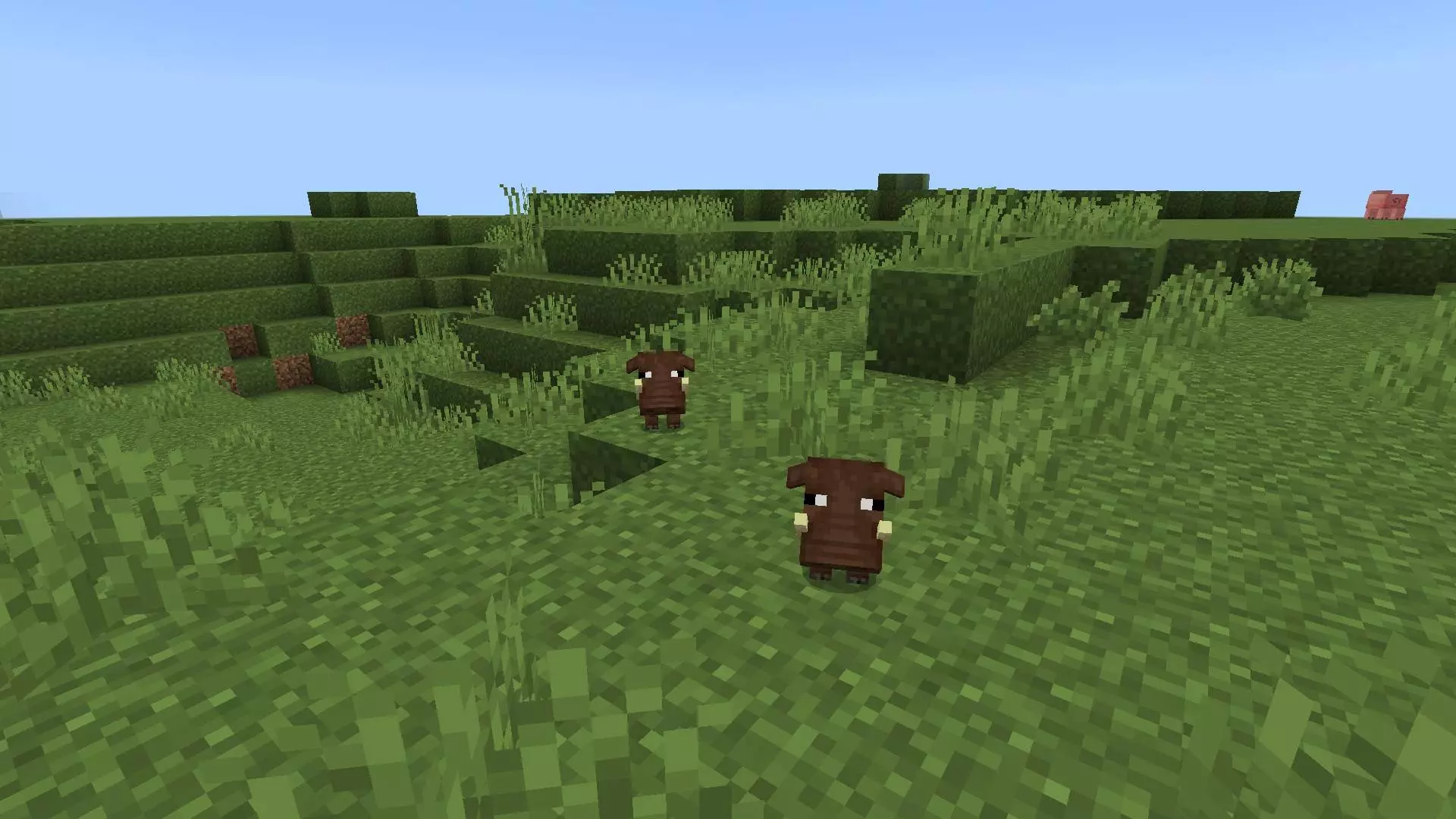 Warthogs Mod / Addon screenshot 3