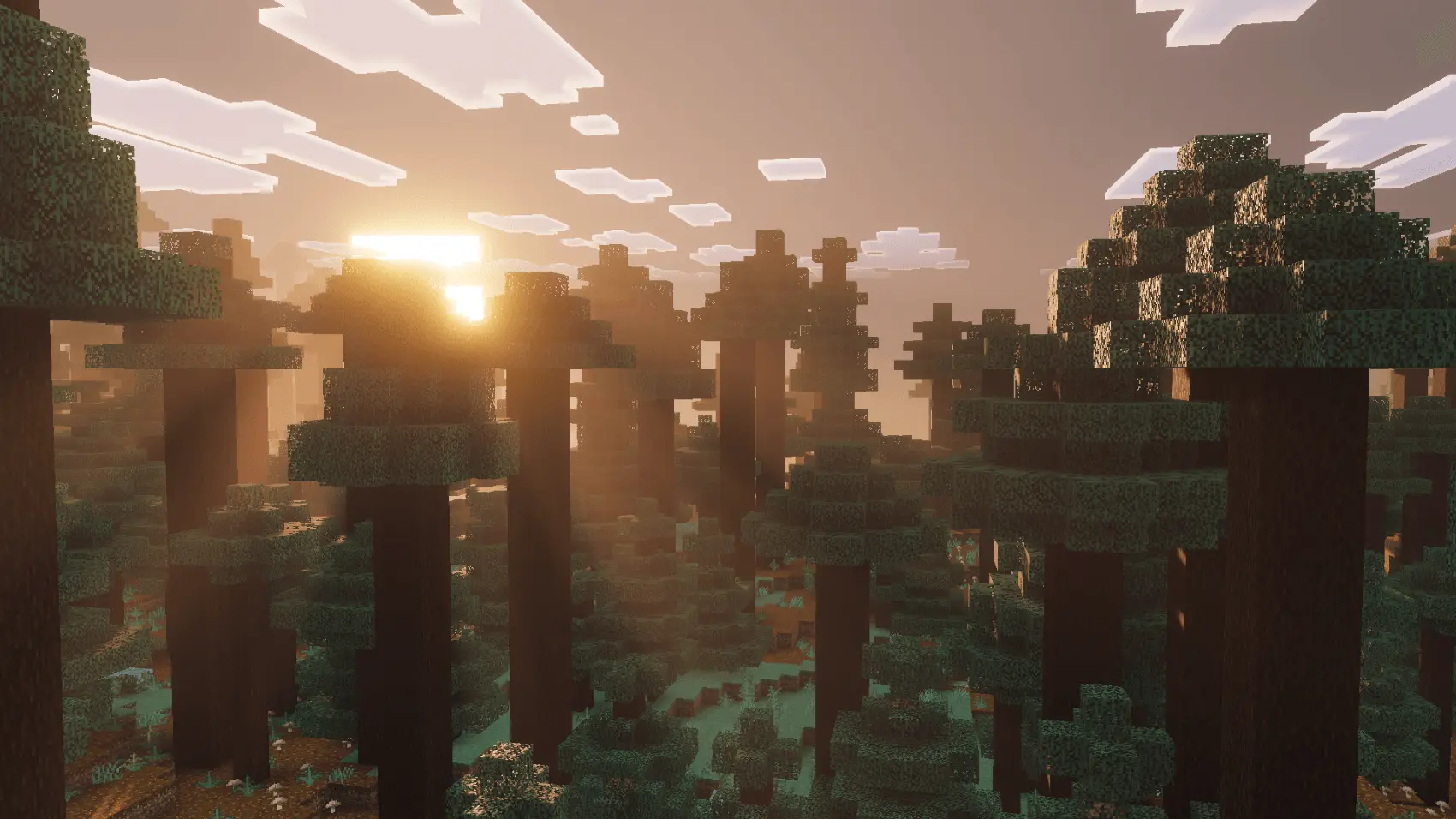 Enhanced Vibrant Visuals | Official Shader screenshot 2