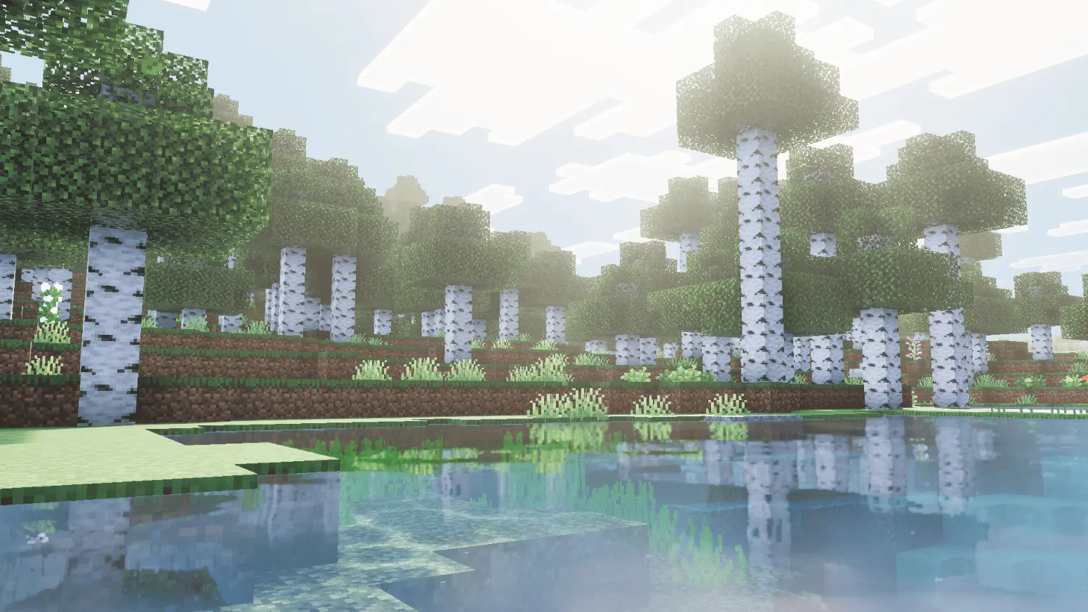 Enhanced Vibrant Visuals | Official Shader screenshot 3