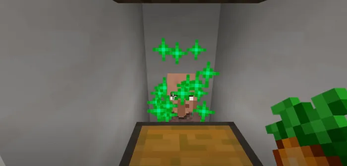 Aging Villagers Addon screenshot 2
