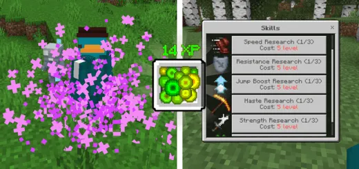 Player Evolved Addon thumbnail