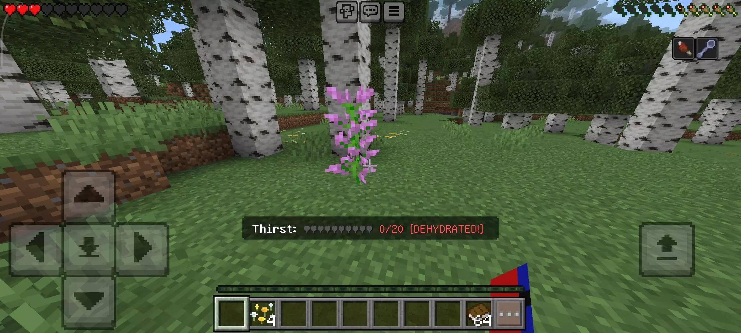 Thirst System - Survival Hydration Mod / Addon screenshot 3