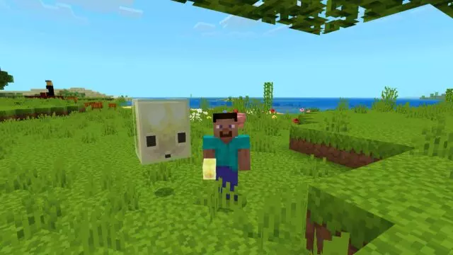 Actions and Stuff Mod screenshot