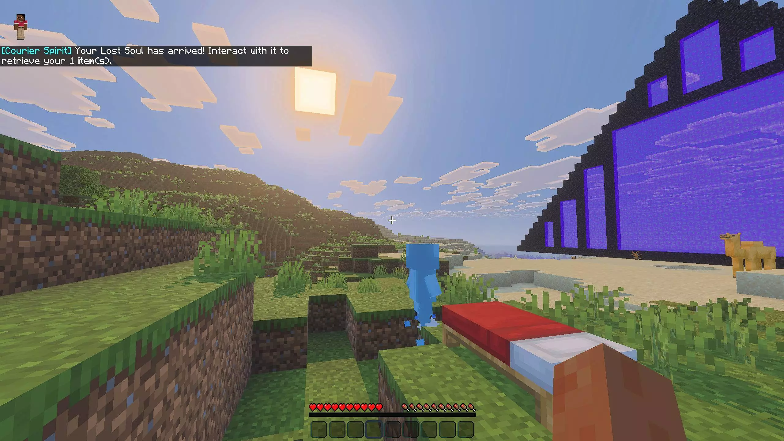The Courier Spirit Mod / Addon screenshot 2