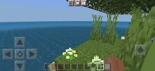 Isla Survival Map screenshot 5