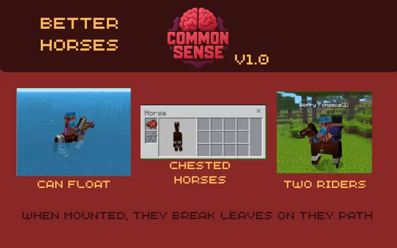 Common Sense Mod / Addon screenshot 3