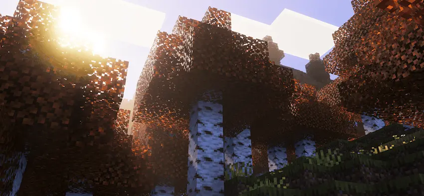 Orange Birch \u2013 Shader pic 4