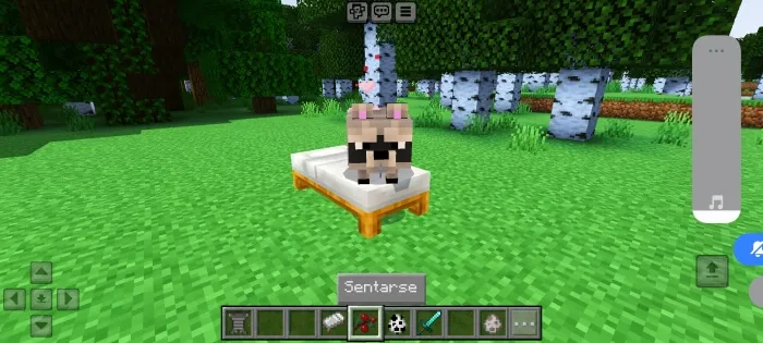Raccoon's Addon screenshot 3