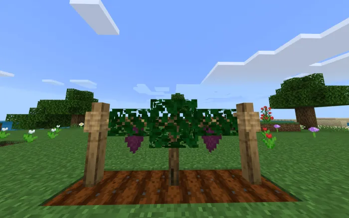 Rustic Agriculture Addon screenshot 4