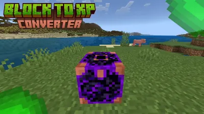 Block To Xp Converter Mod / Addon thumbnail