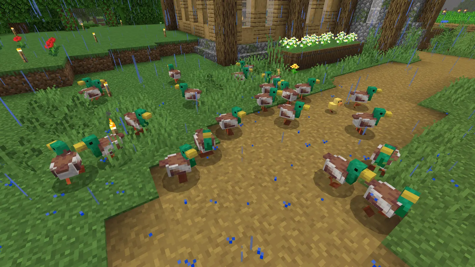 Minecraft Earth Chickens – Addon / Texture Pack screenshot 4