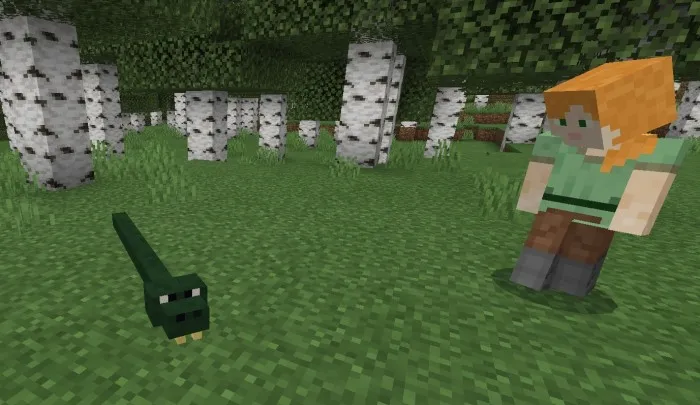 Animals Beginning With 'S' Addon screenshot 4