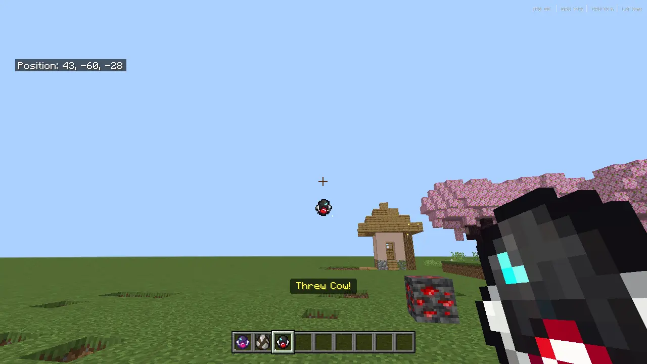 Catch & Carry Mod / Addon screenshot 3