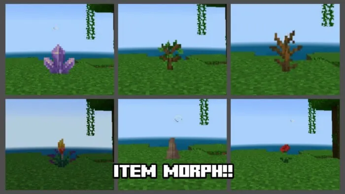 Item Morph Addon screenshot 2
