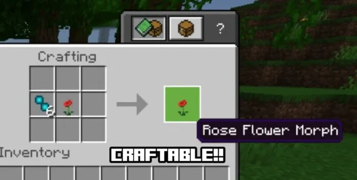 Item Morph Addon screenshot 3