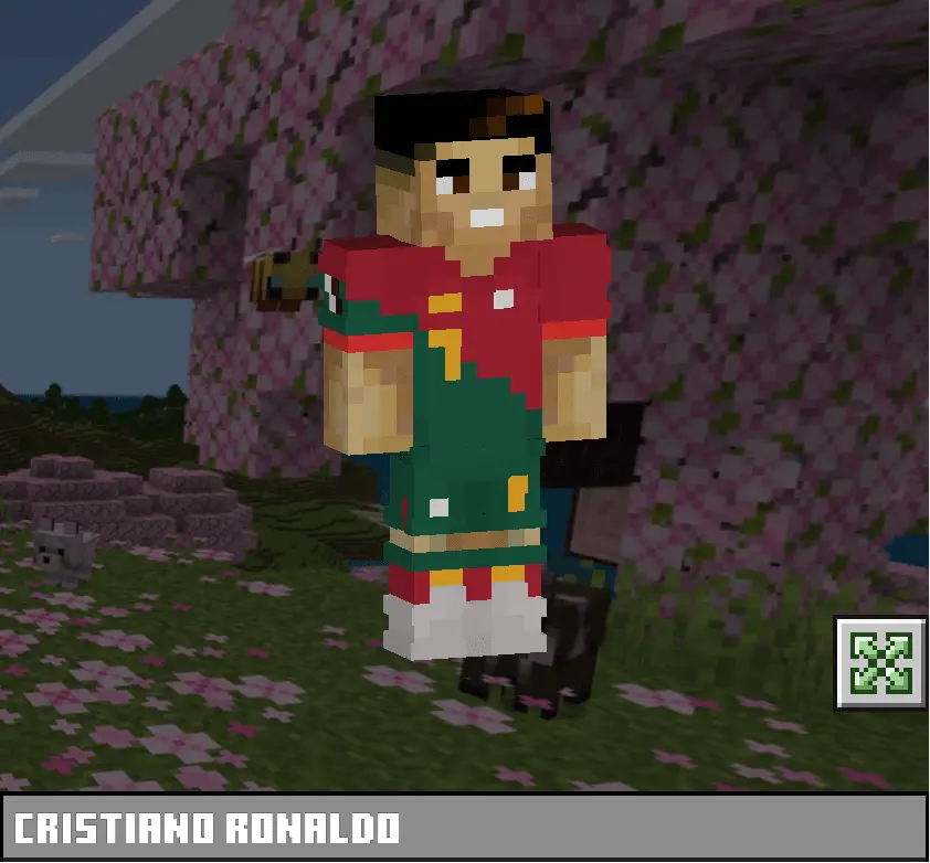 Cristiano Ronaldo – Skin Pack pic 2