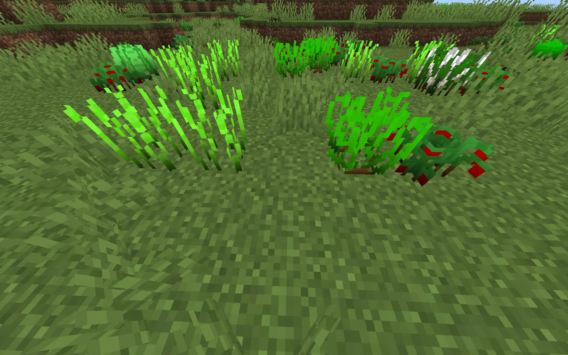 Cuisine Craft Mod / Addon screenshot