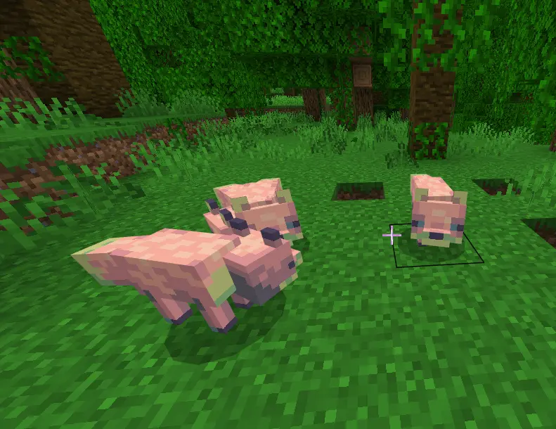 More Vanilla Animals+ Foxes Mod / Addon screenshot