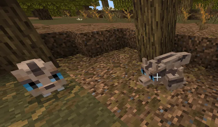 More Vanilla Animals+ Foxes Mod / Addon screenshot