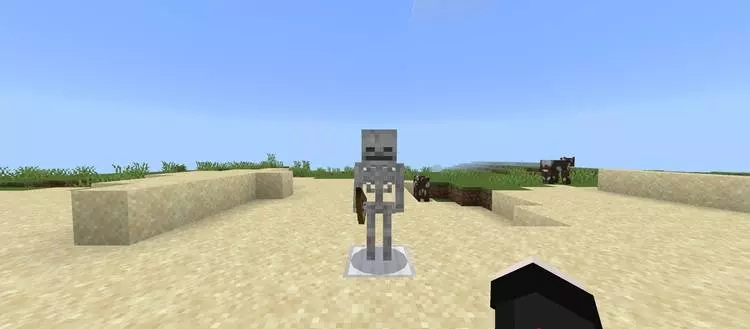 Skeleton Drops LVL 32767 Items! Mod / Addon screenshot