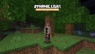 Dynamic Light Torches & Offhand Mod / Addon thumbnail
