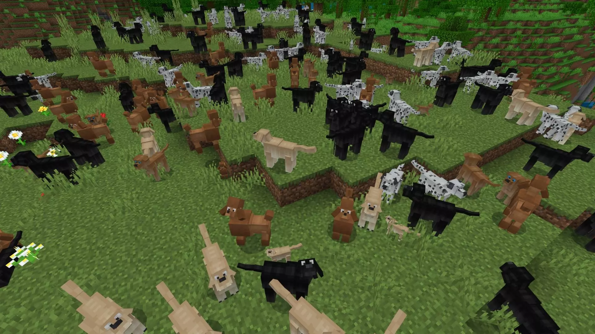 Dogs Mod / Addon screenshot