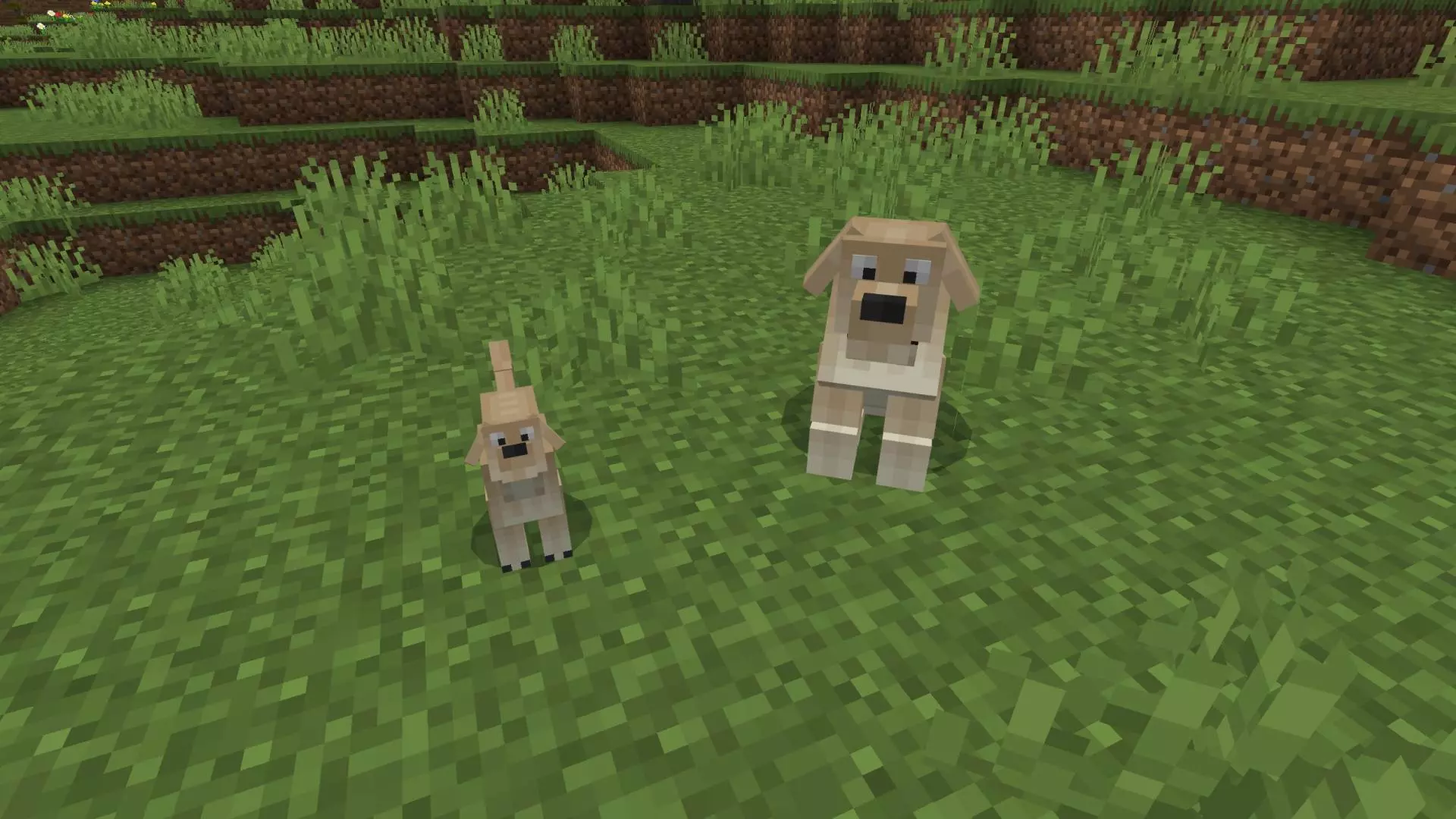 Dogs Mod / Addon screenshot