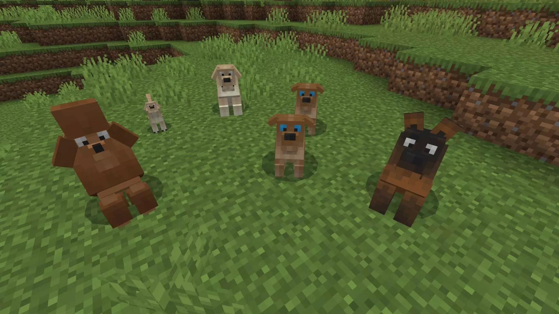 Dogs Mod / Addon screenshot